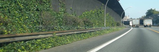 千里山トンネル出口上り線ガードレール施工前