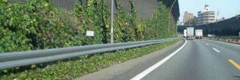 千里山トンネル出口上り線ガードレール施工後